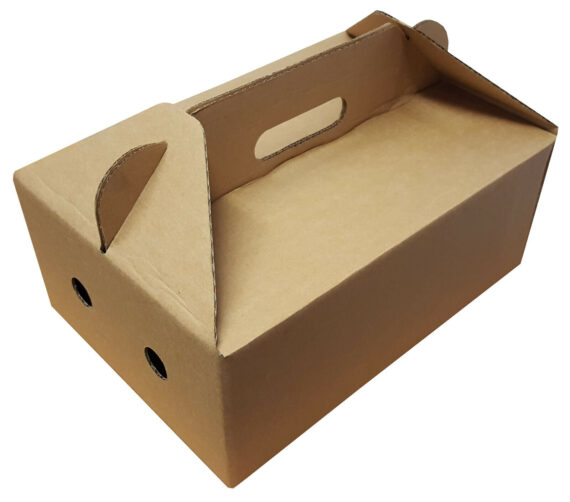 Die Cut Takeout Takeaway Boxes with Carry Handles for Chinese Indian