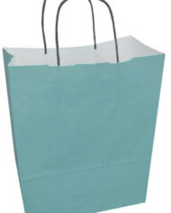 Variation-of-Bright-Coloured-Twisted-Handle-Kraft-Paper-Party-Gift-Easter-Carrier-Bags-131567503137-5112
