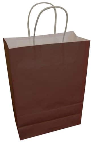 Bright Coloured Twisted Handle Kraft Paper Party Gift Easter Carrier Bags