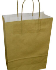 Variation-of-Bright-Coloured-Twisted-Handle-Kraft-Paper-Party-Gift-Easter-Carrier-Bags-131567503137-9b18